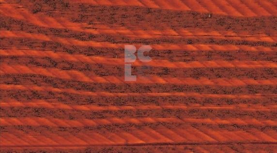 BONDEX SATIN - debeloslojna lazura za zaštitu drva