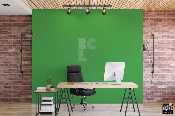 MAGPAINT GREENSCREEN PAINT - funkcionalna chroma key boja