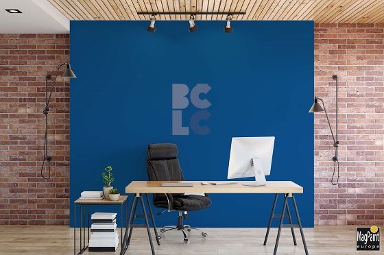 MAGPAINT BLUESCREEN PAINT - funkcionalna chroma key boja