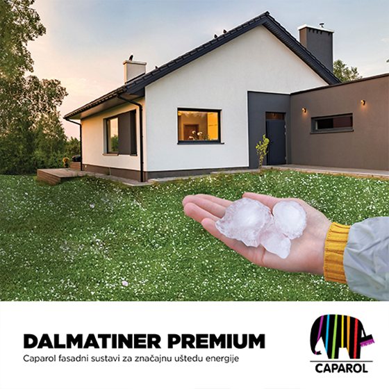 caparol premium 540x540